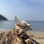 7月5日！なぜか⁇立螺師デビュー@仙酔島