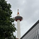 ワタクシ史上最強のメンテナンスをしたら奇跡が降ってきた‼️